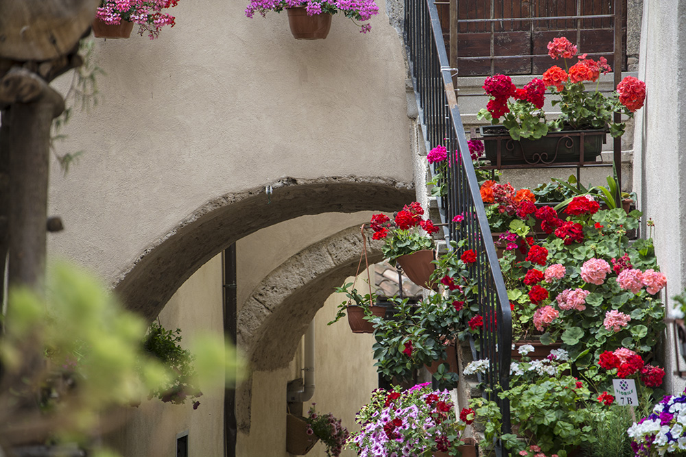 Castelnuovo in fiore