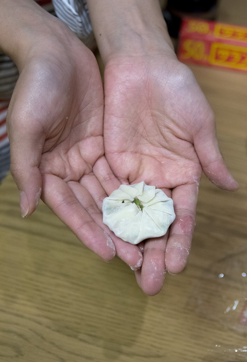 Giappone ravioli vegetali vegan